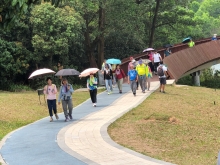 Thumbnail of P3220083.JPG