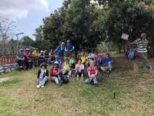 Thumbnail of P3220092.JPG