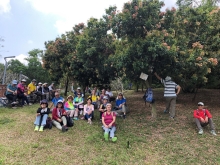 Thumbnail of P3220096.JPG