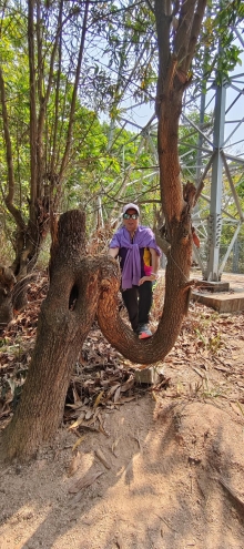 Thumbnail of pic_Derek_Wong_011.jpg