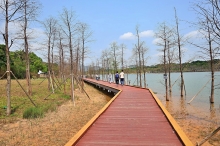 Thumbnail of pic_Lee_Shing_019.JPG