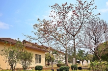 Thumbnail of pic_Lee_Shing_035.JPG