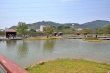 Thumbnail of pic_Lee_Shing_040.JPG