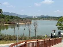 Thumbnail of pic_TB_Tung_011.JPG