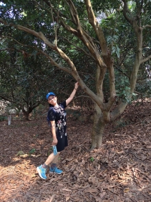 Thumbnail of pic_WaiG_002.jpg