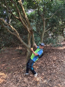 Thumbnail of pic_WaiG_005.jpg