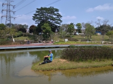 Thumbnail of pic_WaiG_023.jpg