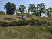 Thumbnail of pic_WaiG_040.jpg