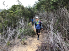 Thumbnail of P3290036.JPG