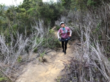 Thumbnail of P3290038.JPG