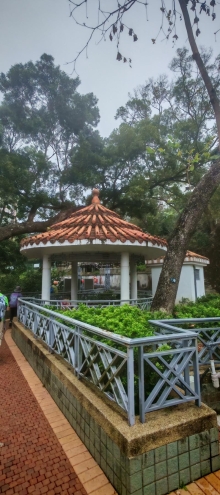 Thumbnail of pic_Cindy_Tse_002.jpg