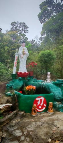 Thumbnail of pic_Cindy_Tse_032.jpg