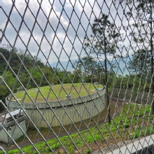 Thumbnail of pic_Si9_003.jpg