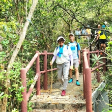 Thumbnail of pic_Si9_008.jpg