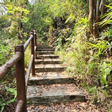 Thumbnail of pic_Si9_010.jpg