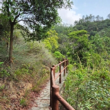 Thumbnail of pic_Si9_013.jpg