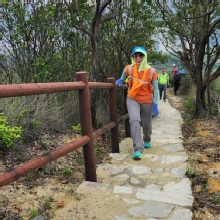Thumbnail of pic_Si9_021.jpg