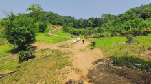 Thumbnail of pic_Derek_Wong_065.jpg