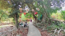 Thumbnail of pic_Derek_Wong_066.jpg