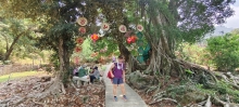 Thumbnail of pic_Derek_Wong_071.jpg