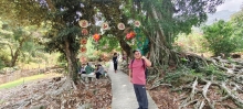 Thumbnail of pic_Derek_Wong_072.jpg