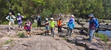 Thumbnail of pic_Fong_041.jpg