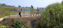 Thumbnail of pic_Mingle_Tam_028.jpg