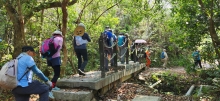 Thumbnail of pic_Si9_001.jpg