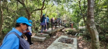 Thumbnail of pic_Si9_002.jpg