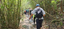 Thumbnail of pic_Si9_007.jpg