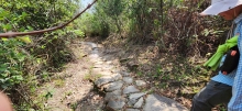 Thumbnail of pic_Si9_008.jpg