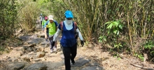 Thumbnail of pic_Si9_011.jpg