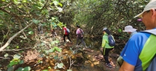 Thumbnail of pic_Si9_012.jpg