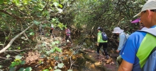 Thumbnail of pic_Si9_013.jpg