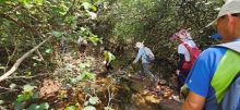Thumbnail of pic_Si9_014.jpg