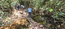 Thumbnail of pic_Si9_015.jpg