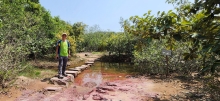 Thumbnail of pic_Si9_020.jpg