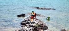 Thumbnail of pic_Si9_032.jpg