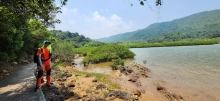Thumbnail of pic_Si9_042.jpg