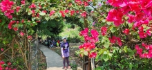 Thumbnail of pic_Si9_046.jpg