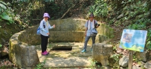 Thumbnail of pic_Si9_050.jpg