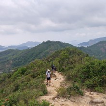 Thumbnail of pic_KL_Sin_021.jpg