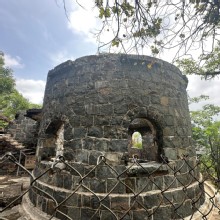 Thumbnail of pic_TB_Tung_011.JPG