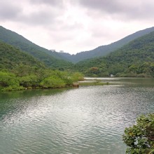 Thumbnail of pic_KL_Sin_030.jpg