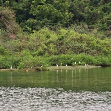 Thumbnail of pic_KL_Sin_032.jpg