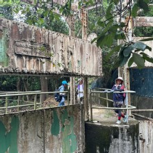 Thumbnail of pic_TB_Tung_012.JPG