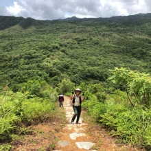 P7050021.JPG (719230 bytes)
