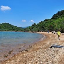 Thumbnail of pic_Lee_Shing_009.JPG