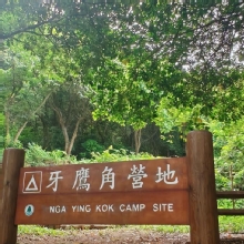 Thumbnail of pic_Cindy_Tse_014.jpg