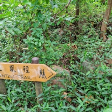 Thumbnail of pic_Cindy_Tse_030.jpg